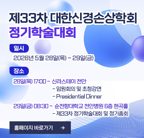제33차 정기학술대회